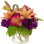 izimbali-zezimbali 11 uhlu